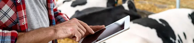 News & Media Mann mit Tablet im Kuhstall